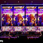 buffalo run casino slot machines